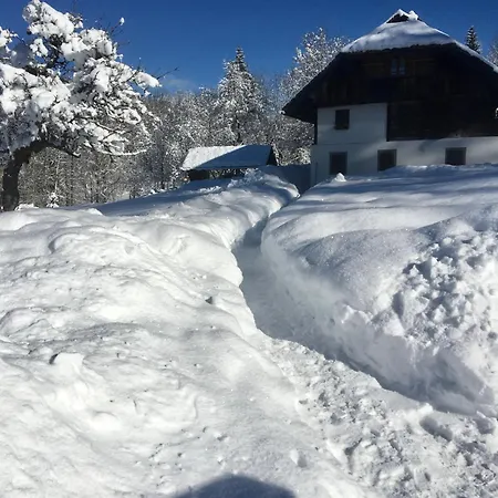 La Di Aclete アパート